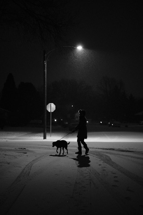 a person and a dog walking down an empty snow-filled street, lit by street lamps with snow falling