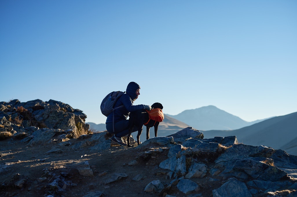 Jean and Sapphie the dog looking at the sunrise from a mountaintop