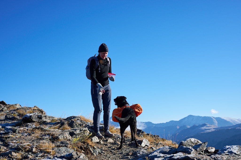 Jean feeds Sapphie the dog on a mountainside