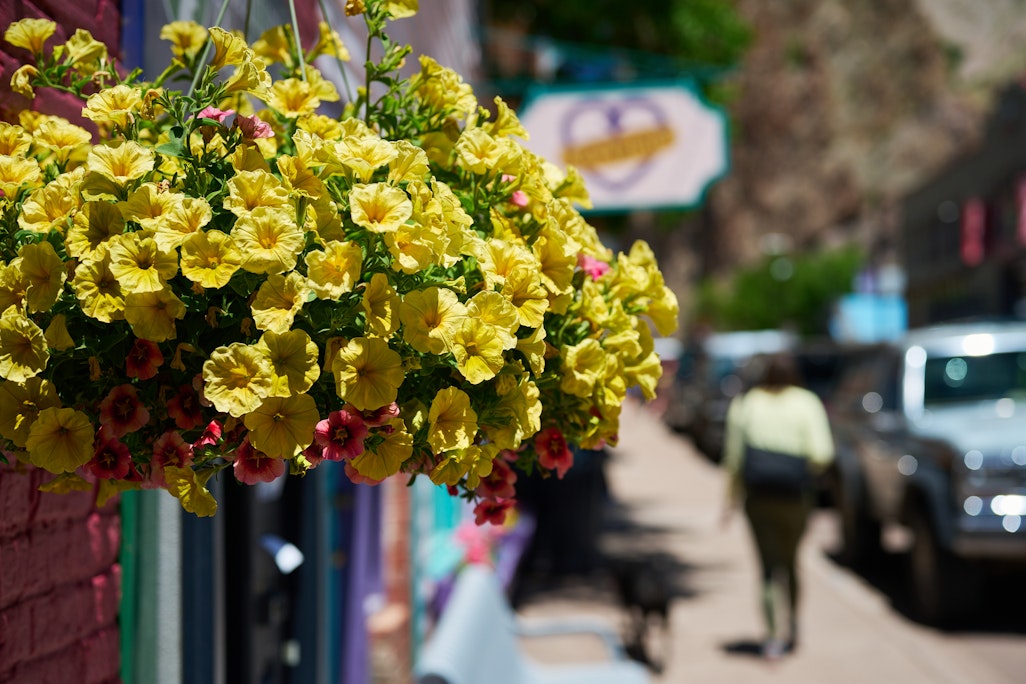 yellow flowers hanging over a colorful main street sidewalk in Creede, Colorado