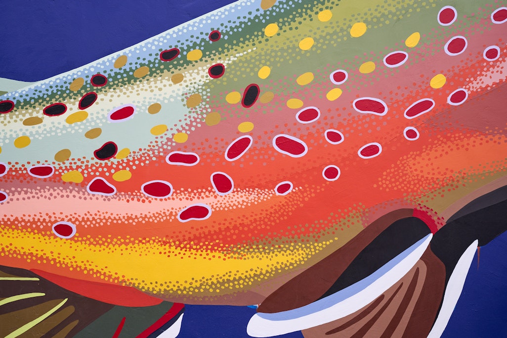 detail of a boldly colored large-scale mural of a brook trout fish